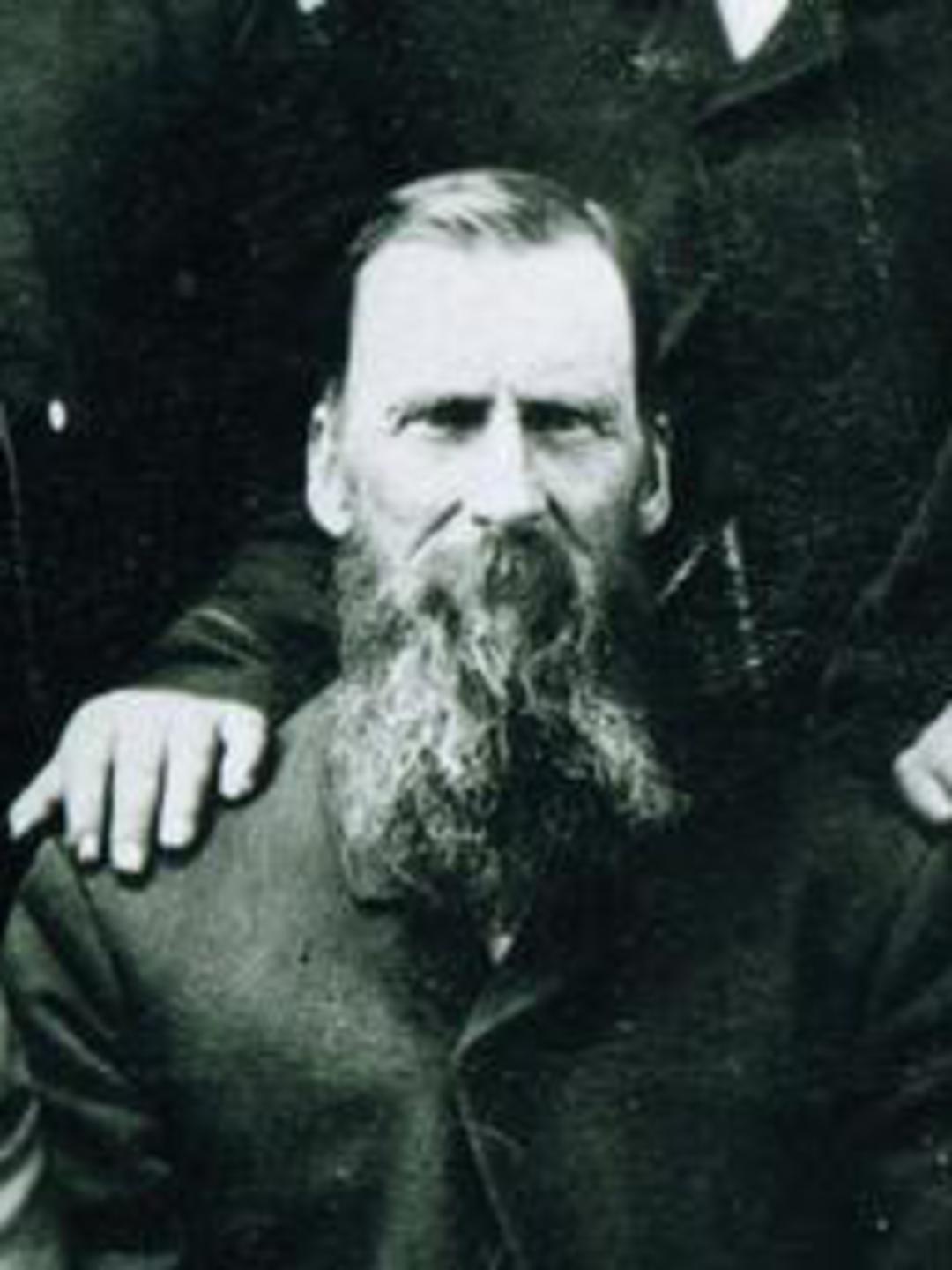 Daniel Robison (1831 - 1907) Profile
